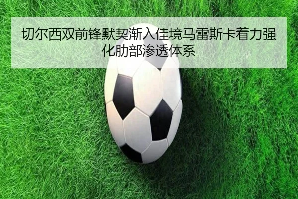 img_1783341521607_263_1_303.jpg